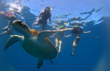 Weitere Aktivitäten