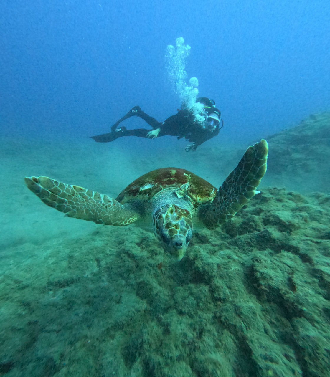 Palm Mar Mauer und Palm Mar Höhle