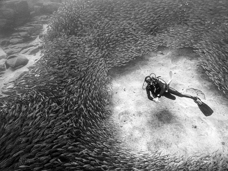 El Bufadero lub ściana Palm Mar