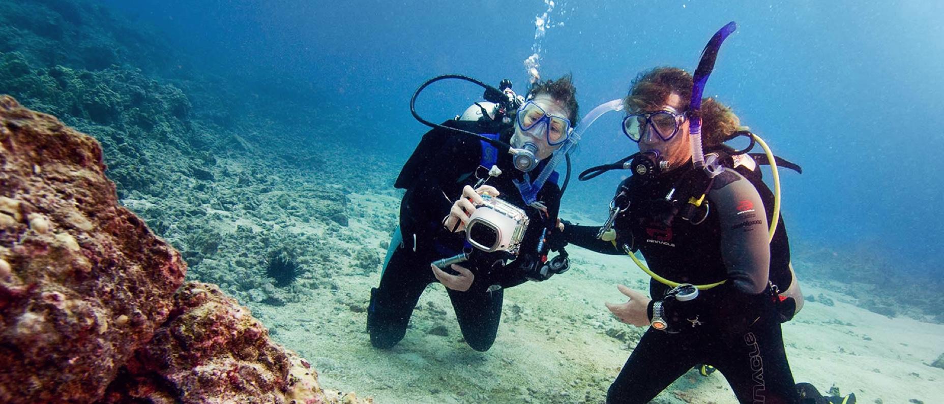Digital Underwater Photographer