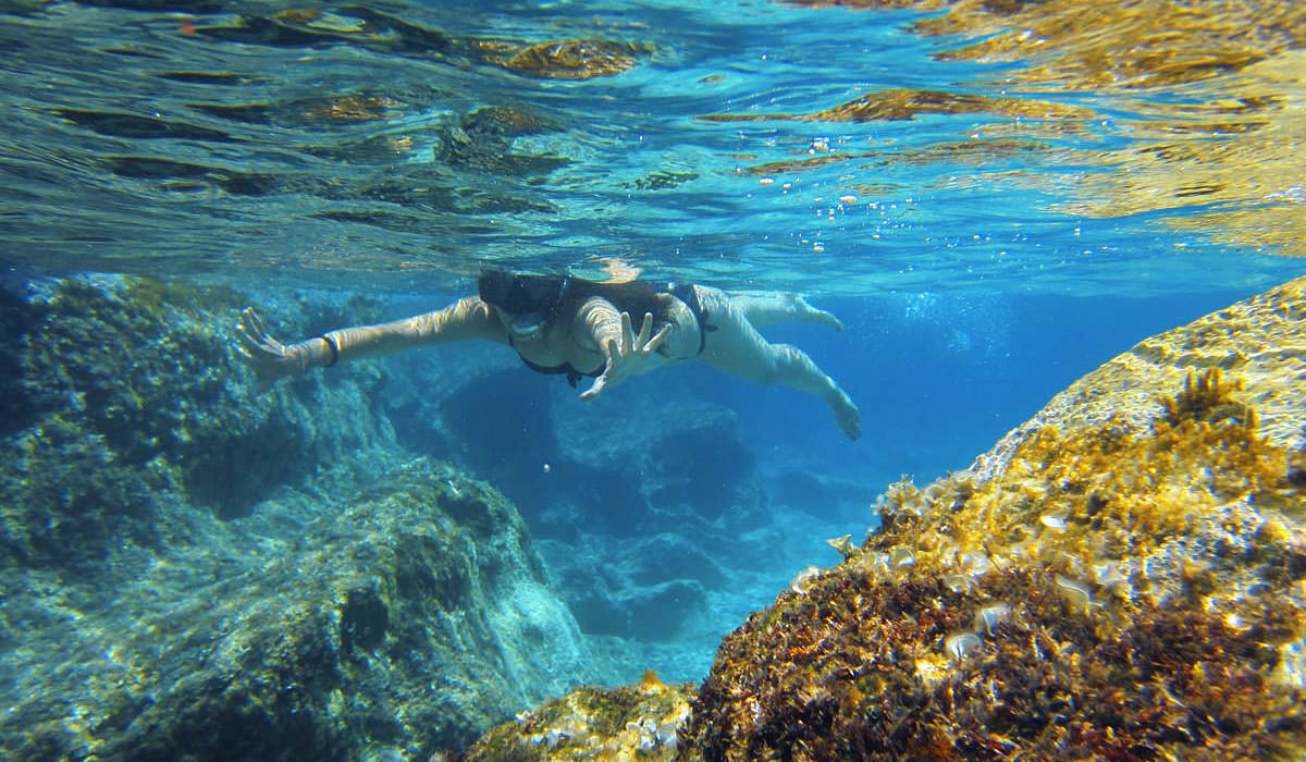 Descubre una nueva experiencia de buceo en Tenerife!