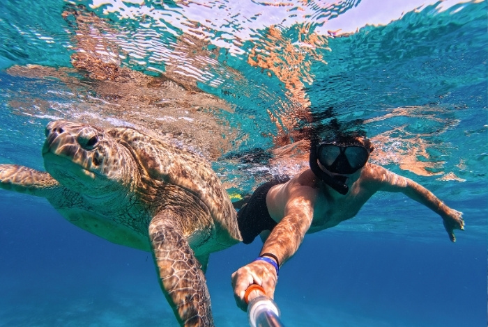 Snorkeling by boat