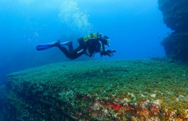 PADI Divemaster