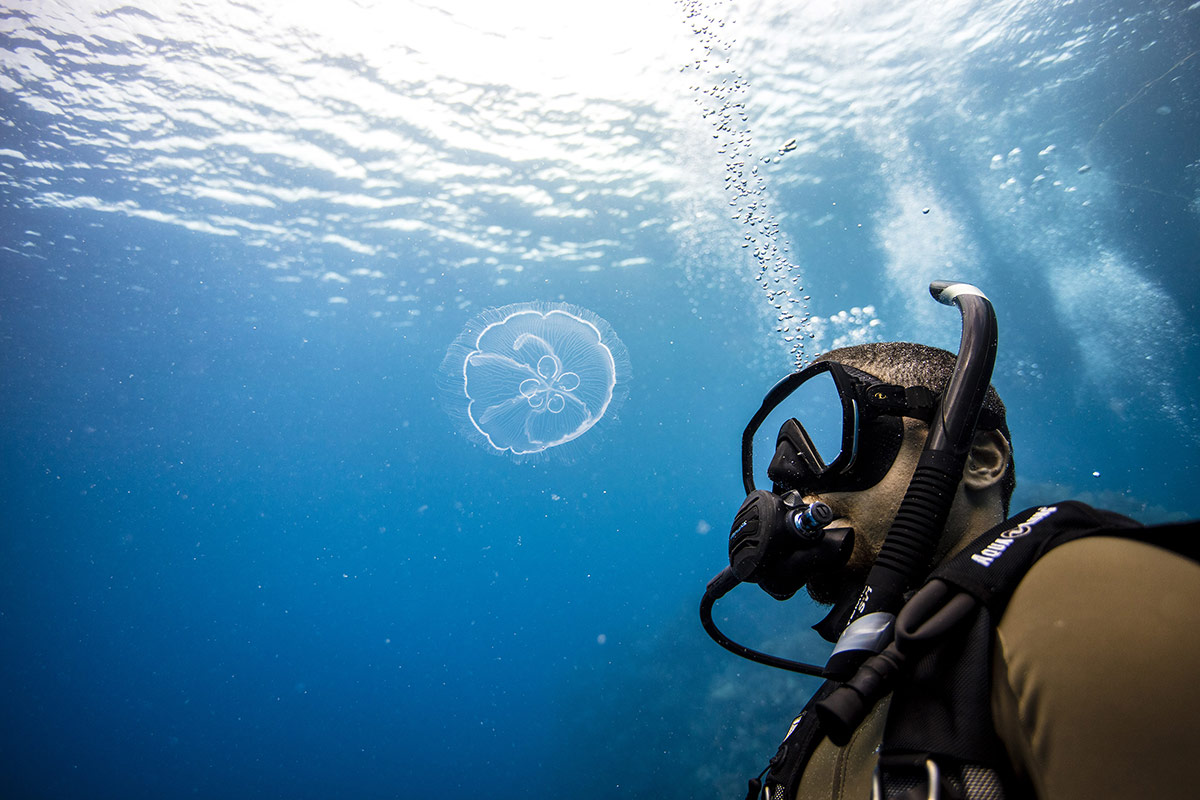 What is the difference between snorkeling and diving?