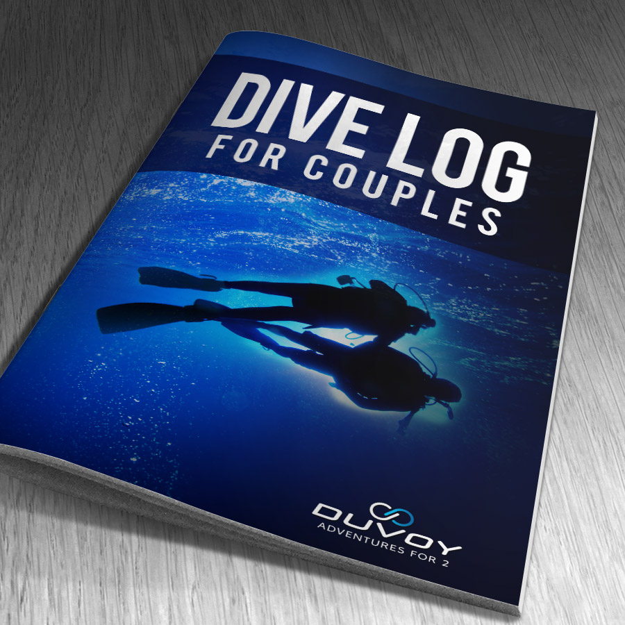 Dive log