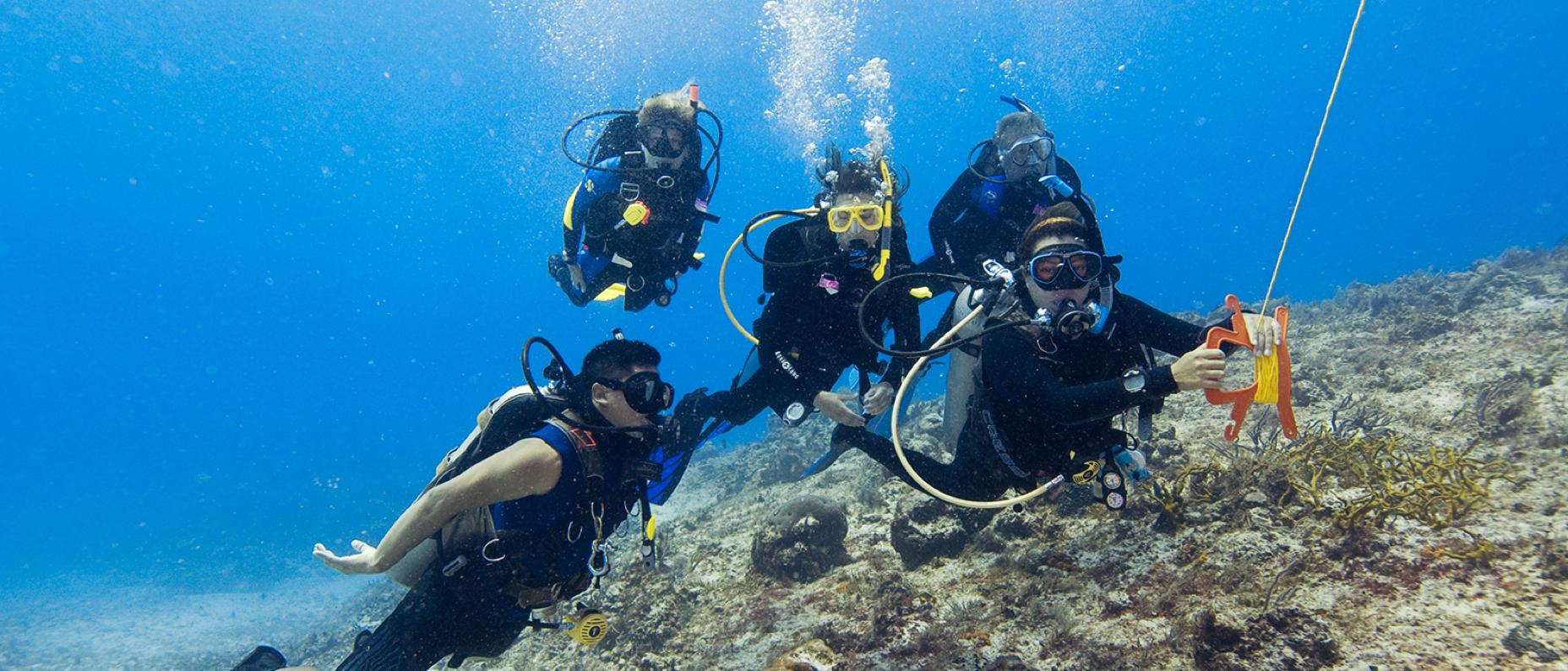 PADI Plongeur profond